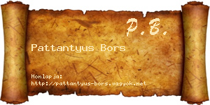 Pattantyus Bors névjegykártya